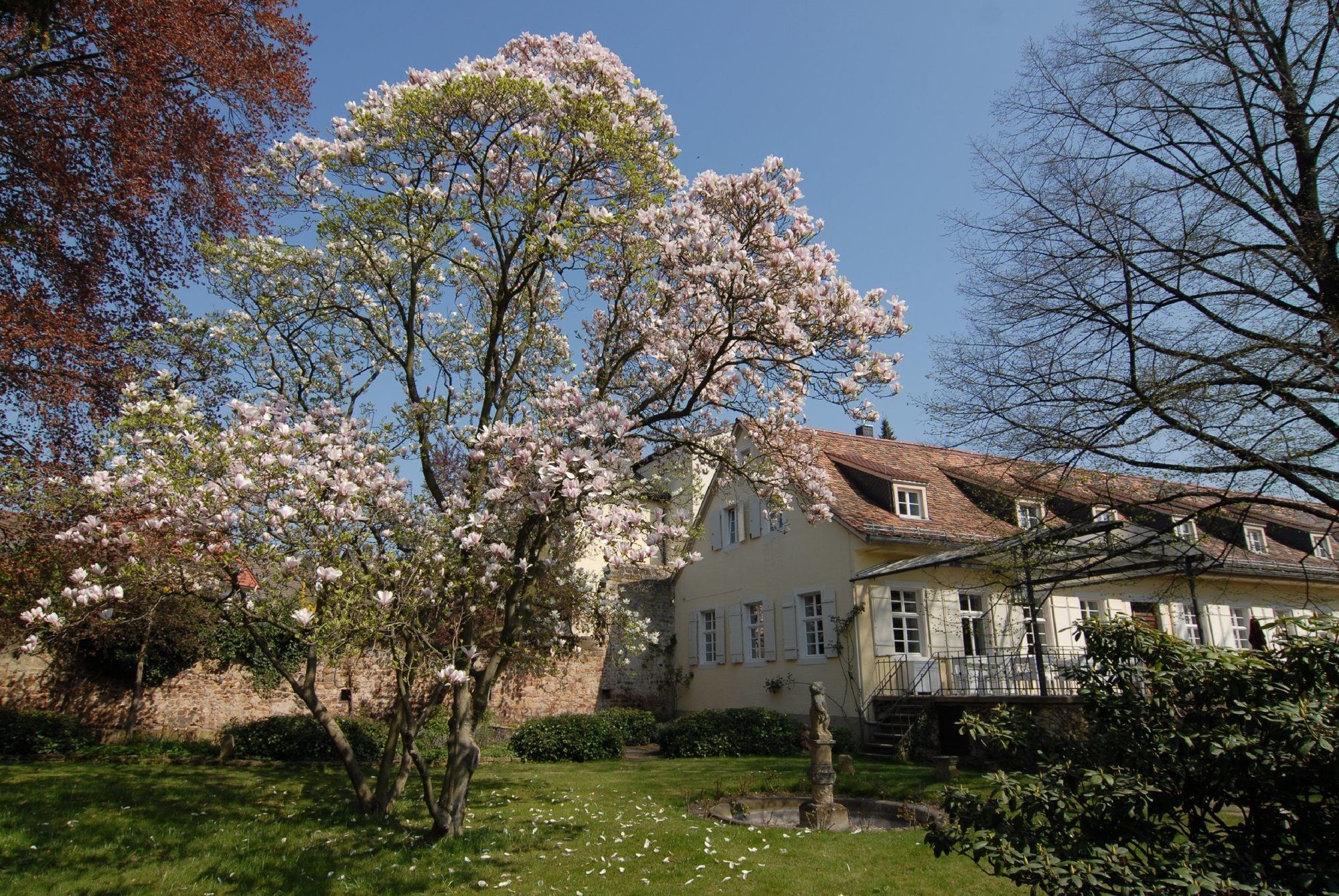 Hotel Ketschauer Hof Deidesheim Eksteriør billede